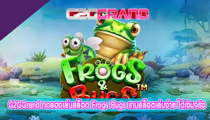 ทดลองเล่นสล็อต Frogs Bugs เกมสล็อตเล่นง่าย ได้เงินจริง ฝากถอนเร็ว